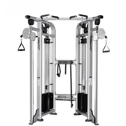 Dual Pulley Small Bird Comprehensive Training Device, Multifunctional Commercial Gym Professional Gantry Rack Resistance Training Equipment