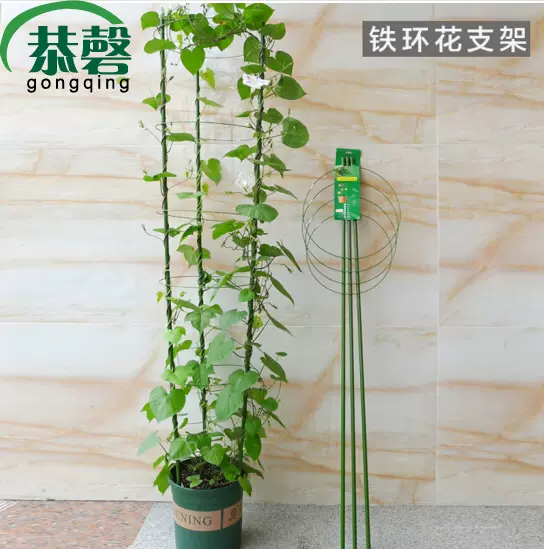 花支柱园艺支架铁环花支架爬藤攀援藤蔓植物支架番茄花