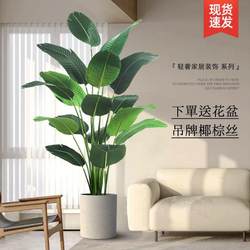 Artificial Bird of Paradise Potted Plant, Large Indoor Green Plant for Living Room, Home Office, Large-Leaf Flower, Fake Decoration