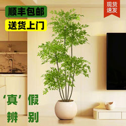 Bamboo Indoor Potted Plant, Artificial Green Plant, Large Living Room Plant, Landscape Decoration, Light Luxury Ornament, Fake Tree Flower