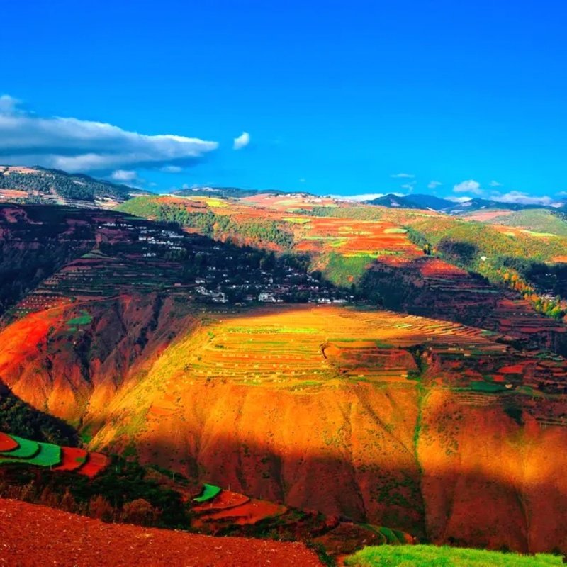 滇东南全景9日元阳梯田罗平油菜花碧色寨坝美普者黑东风韵抚仙湖