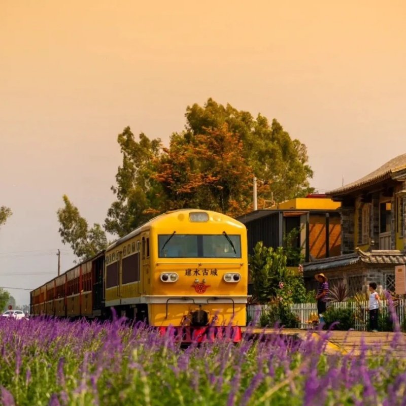 滇东南全景9日元阳梯田罗平油菜花碧色寨坝美普者黑东风韵抚仙湖