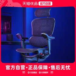 Ergonor Friend Jinhao Eagle X9 High Performance Soft Waist Win Game E-Sports Chair Ergonomic Computer Chair
