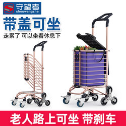 Portable Shopping Stair-Climbing Cart, Small Pull Cart for Home Use, Foldable Lightweight Hand-Pulled Trolley, Elderly Push Cart