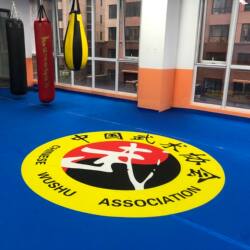Ready-Made Martial Arts Competition Training Carpet, Gym, Dance Hall, Ktv, Hotel, Club, Non-Slip, Soundproof Yoga Mat