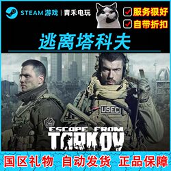 Steam Genuine Escape from Tarkov China Region Gift Code
