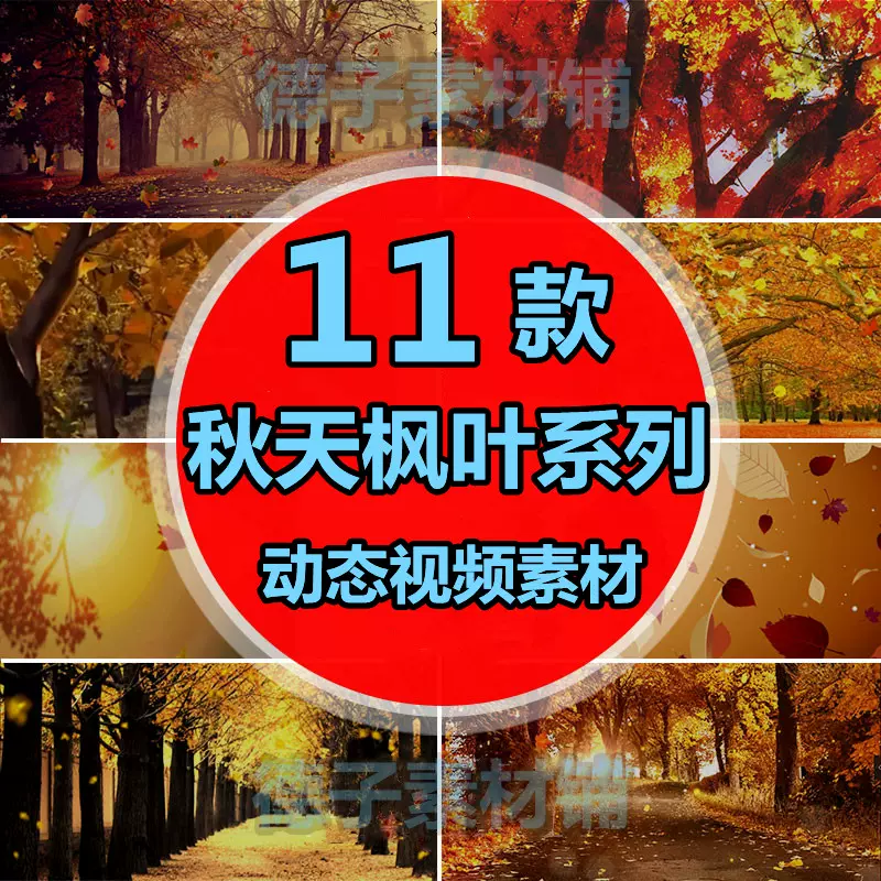 紅葉落葉秋天楓葉樹林飄落婚禮晚會舞臺led大屏幕背景影片素材