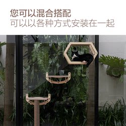 Small Cat Window Perch Cat Tree Cat Climbing Frame Does Not Take up Space, Glass Suction Cat Jumping Platform Cat Scratching Board for Small Cats