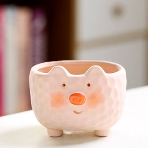 
Succulent ceramic small flower pot frosted coarse ceramic simple creative personality cute animal shape unique desktop breathable