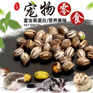 
Sugar glider snacks tank worm hamster food high protein fattening meat snacks sugar glider food