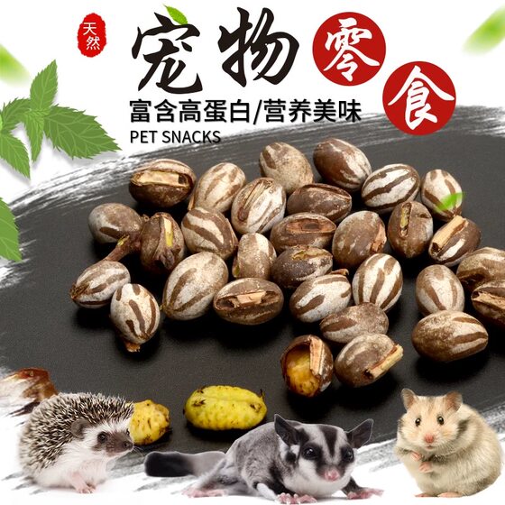 
Sugar glider snacks tank worm hamster food high protein fattening meat snacks sugar glider food