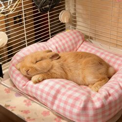 Rabbit Nest for All Seasons, Non-Stick Hair Sleeping Mat, Pet Mat, Dwarf Rabbit, Lop-Eared Rabbit Cotton Pad, Small Nest