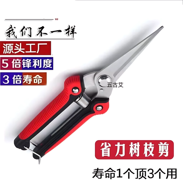 Stainless steel saves branches and cuts rare fruit, cut grapes, picking pepper fire, dragon fruit vegetable multifunctional garden scissors