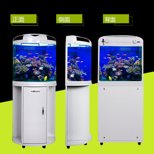 円形畳　金魚 アウトレット 形畳 金魚 アウトレット