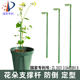 Plant fixed anti-lodging flower stand gardening support single pole outdoor garden rose climbing hydrangea flower support bracket