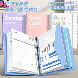 High-Quality A4 Binder with Transparent Pockets for Organizing Documents, Exam Papers, and Study Materials; a Cute and Stylish Organizer for Girls; Pregnancy Check-Up Collection Folder with Built-In File Pockets