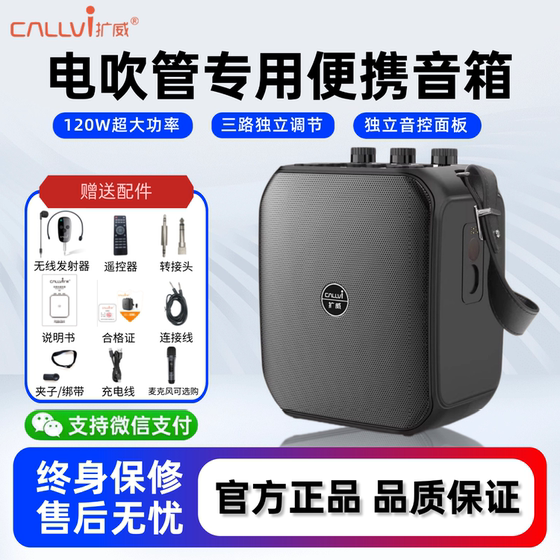 
Kuowei X30 electric blowpipe Erhu special speaker saxophone can record wireless Bluetooth high-power 120W audio