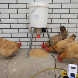 Automatic Chicken Feeder Pigeon Chicken Duck Pigeon Trough Timed Fully Automatic Chicken Feeding Device Pigeon Supplies and Equipment