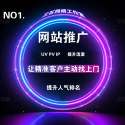 Visits, Promotions, Page Views, Pvs, Seo, Click Data, Optimization, H5 Pages, Uv Traffic, Website Ip