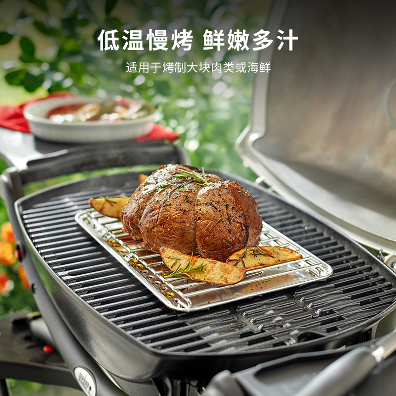 Weber Q1250 ガスグリル Weber® Q 1250ガスグリル | Qシリーズ | ガスグリル
