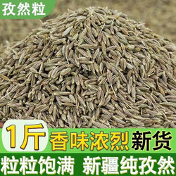 Xinjiang Cumin Powder for Barbecue, Authentic Commercial Semi-Granulated Seasoning for Home Use, New Product for Grilling, Wholesale for Stalls