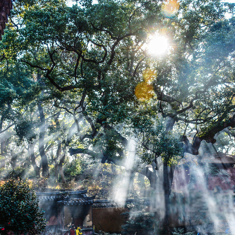 舟山到普陀山二日游,中午参团,含门船票+住宿+导游|可升级酒店