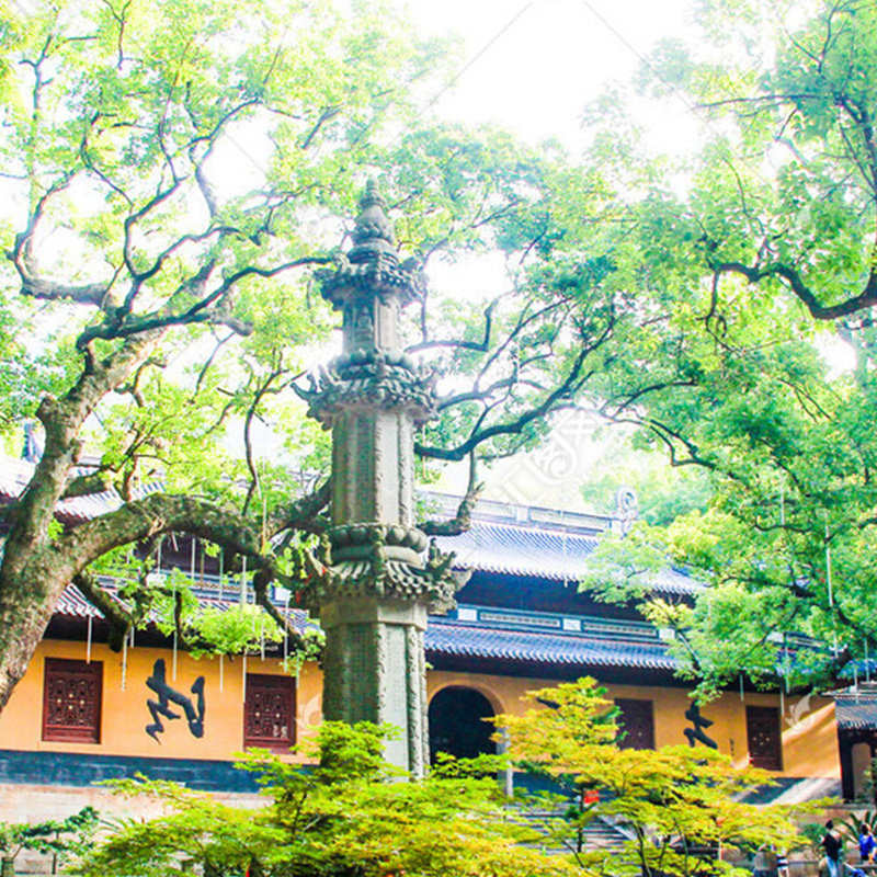 浙江团游普陀山+朱家尖3天2晚半自助1天跟团祈福,首尾2天自由活动