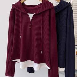 Plus-Size Color-Blocked Faux Two-Piece Hooded Long-Sleeve T-Shirt for Women, Autumn, Loose Fit, Tummy-Concealing, Slimming, Versatile Top
