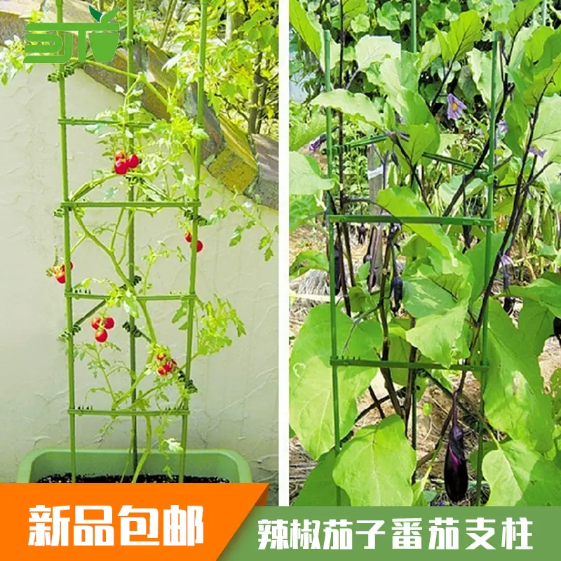 西红柿支撑架爬藤植物架子种菜黄瓜架种丝瓜豆角攀爬架子爬藤支架-Taobao