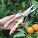 Stainless steel branch pruning shears for picking fruits, flowers and trees, garden fruit trees, flower branches, grafting, gardening scissors tools