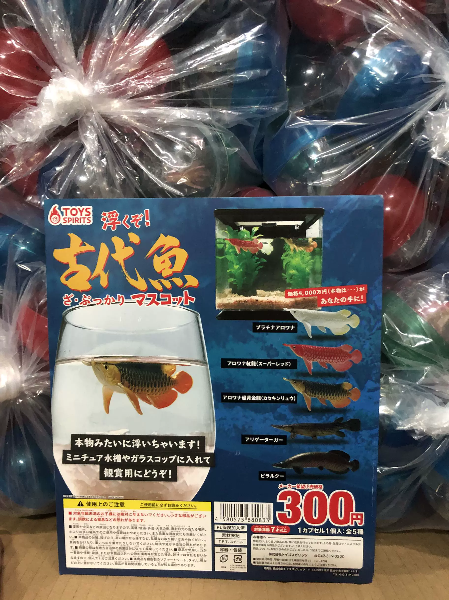 扭蛋toys Spirits 仿真迷你水上漂浮的古代鱼金银红龙雀鳝现货