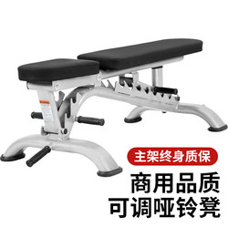 Professional Fitness Adjustable Dumbbell Bench Commercial Bench Press Bench Sit-Ups Fitness Chair Multi-Functional Abdominal Muscle Board