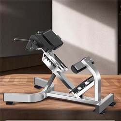 Roman Chair Goat Stand-Up Bench Professional Waist, Abdominal and Back Muscle Multi-Functional Training Commercial Fitness Equipment