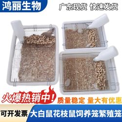 Breeding Cages for Rats and Mice, Experimental White Rats and Gerbils Breeding Cages, Breeding Boxes, Breeding Sets, Special Rat Cages