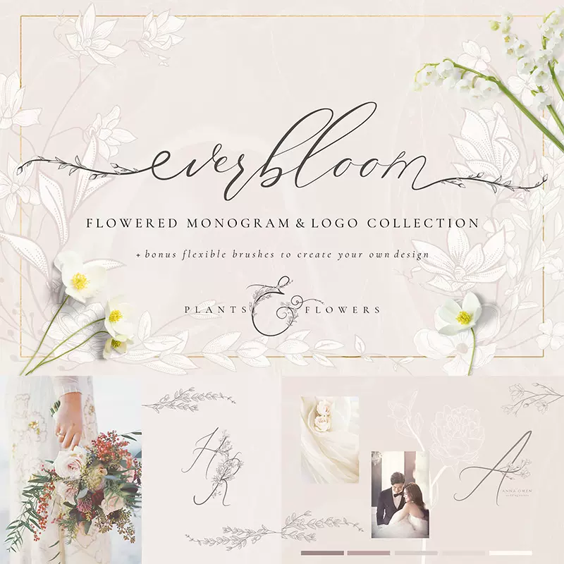 花枝画框花式英文字母logo素材包eps Svg