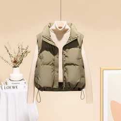 Autumn and Winter Women's Vest 2025 New Stand-Up Collar Casual Fashionable Washable Pu Leather Sleeveless Vest down Cotton Vest