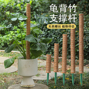 Monstera support pole plant climbing palm column coconut silk stick green radish climbing support fixed coconut palm stick flower stand
