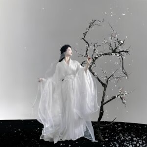 Original Hanfu [Snow Plum] Hanfu women's embroidered large sleeve shirt double-layer cross-collar long gown straight hem cold Hanfu plum blossom
