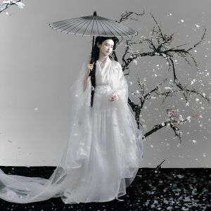 
Original Wei and Jin Hanfu Super Fairy Flowing Embroidered Large Sleeve Ancient Costume Double-layer Cross-collar Long Gown Straight Hem Collar Collar Fresh Fairy-Aura Plum Blossom