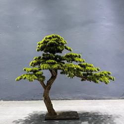 Simulated Welcoming Pine Trees, Large Indoor and Outdoor Landscaping Artificial Trees, Decorative Ornaments, Wholesale of Artificial Podocarpus Trees