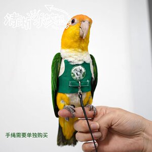 Tiger skin, peony, mysterious phoenix, parrot bird clothing, small vest clothing, flight strap, release rope, divine tool customization