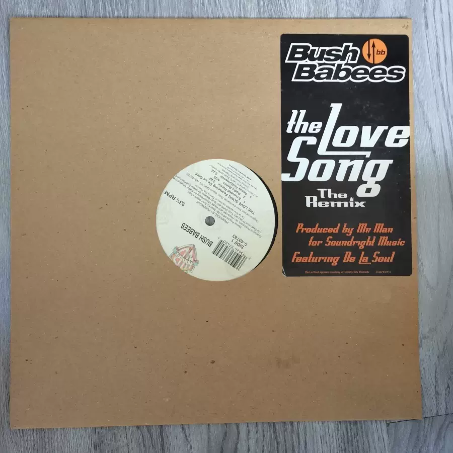 黑胶LP-Bush Babees* – The Love Song (The Remix)-Taobao