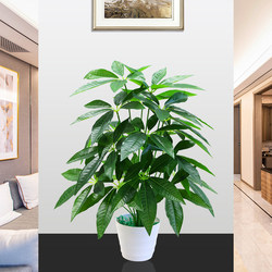 Money Tree Artificial Plant Potted Plastic Fake Money Tree Living Room Floor-Standing Fake Bonsai Indoor Decoration Fake Flower Anthurium