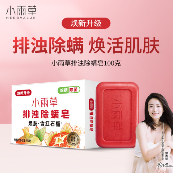 
Rain Grass Red Pomegranate Soap Men and Women Bathing Bath Soap Body Cleaning Soap Face Washing Hand Soap Authentic 100g