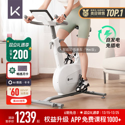 Keep Spinning Bike Mini/Home Fitness Equipment for Weight Loss, Silent Indoor Exercise, Small Fitness Bike