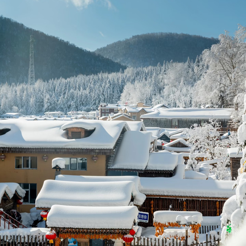 中国雪乡东北哈尔滨8人团亚布力滑雪索菲亚教堂雪乡6天5晚跟团游