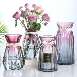 Nordic Creative Transparent Glass Vase for Hydroponic Green Plants, Dried Flowers, Fresh Flower Arrangements, Living Room Decoration Ornament