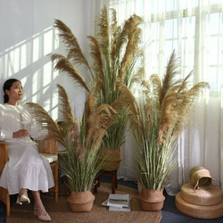 Natural Dried Reed Flowers, Green Plant Ornaments, Artificial Grass, Fake Flowers, Landscaping Plants, Potted Plants, Store and Home Decoration Ornaments