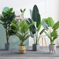 Miyang Nordic Artificial Plant Bonsai Traveler's Banana Floor-Standing Indoor Living Room Window Decoration Ornament Potted Green Plant