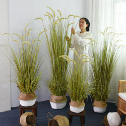 Artificial Green Plant Dog Tail Grass Fake Reed Grass Floor-Standing Potted Plant Decoration Bonsai Indoor Living Room Plant Landscaping Ornament
